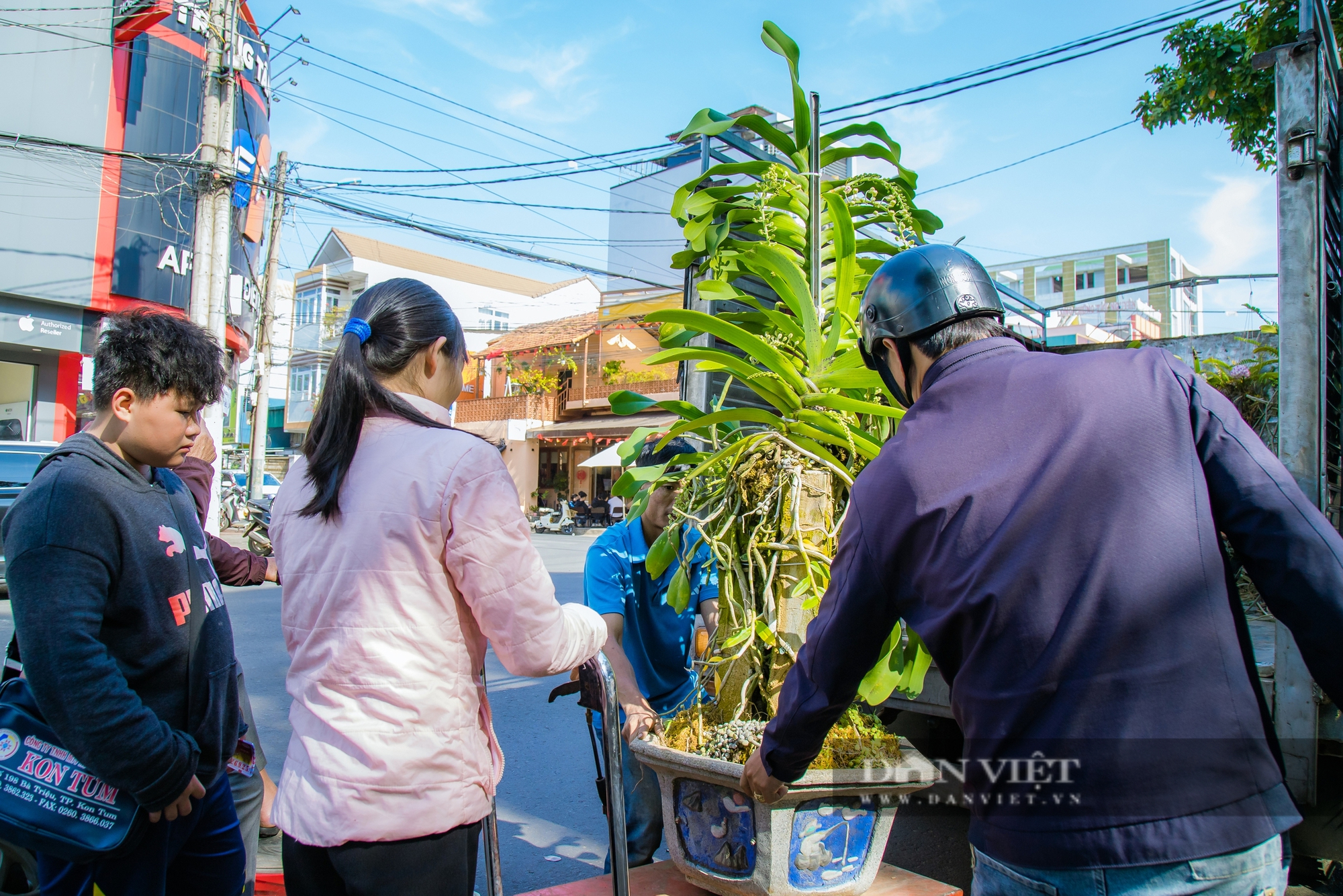 Chiêm ngưỡng cây lan rừng “khổng lồ” 50 năm tuổi, cao hơn 2m tại Đắk Lắk - Ảnh 7.