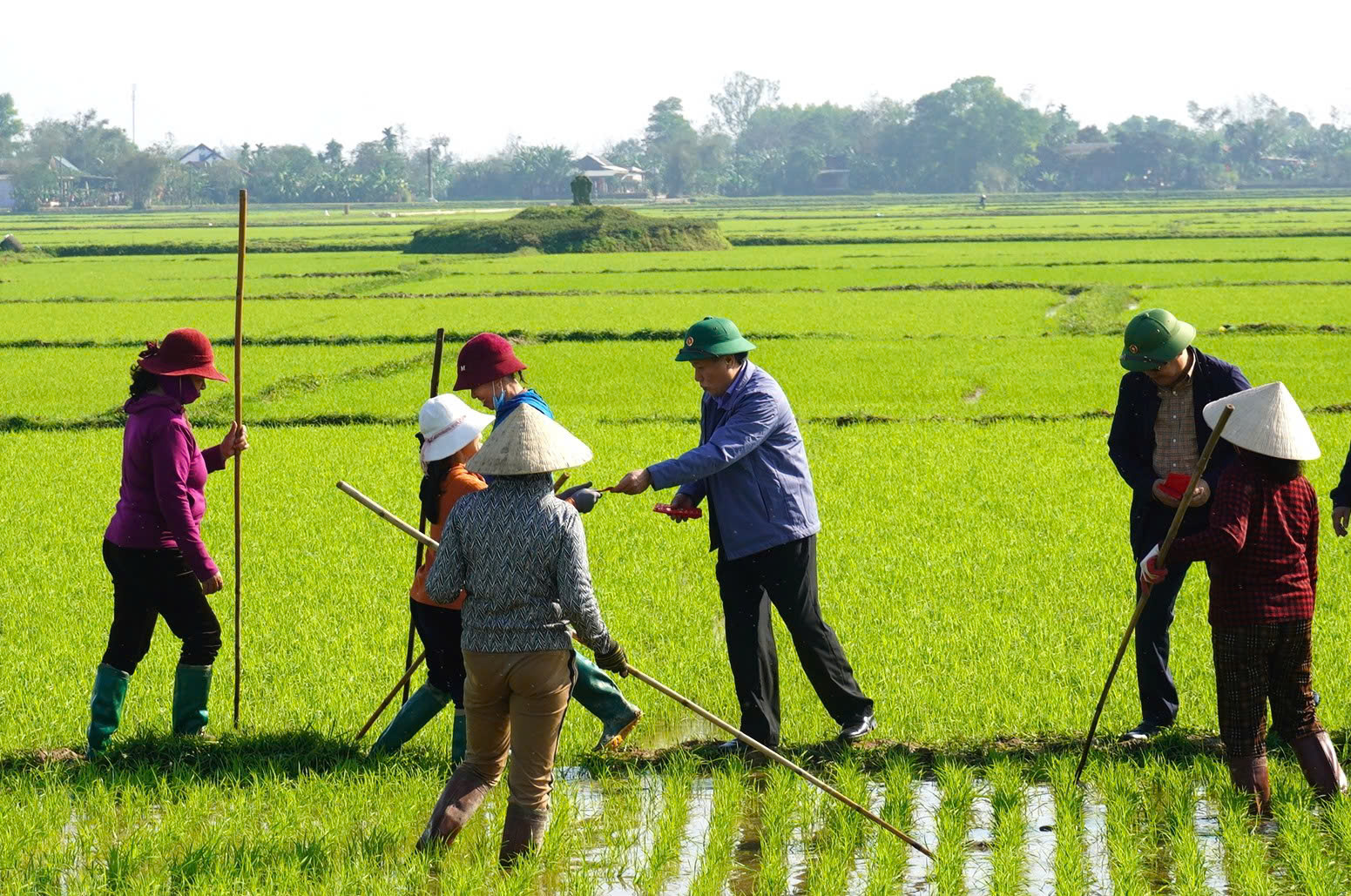 Nông dân Quảng Trị nhận bao lì xì ngay giữa đồng ruộng- Ảnh 2.