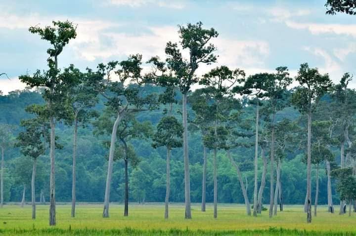 Rủ nhau về Tà Lài 