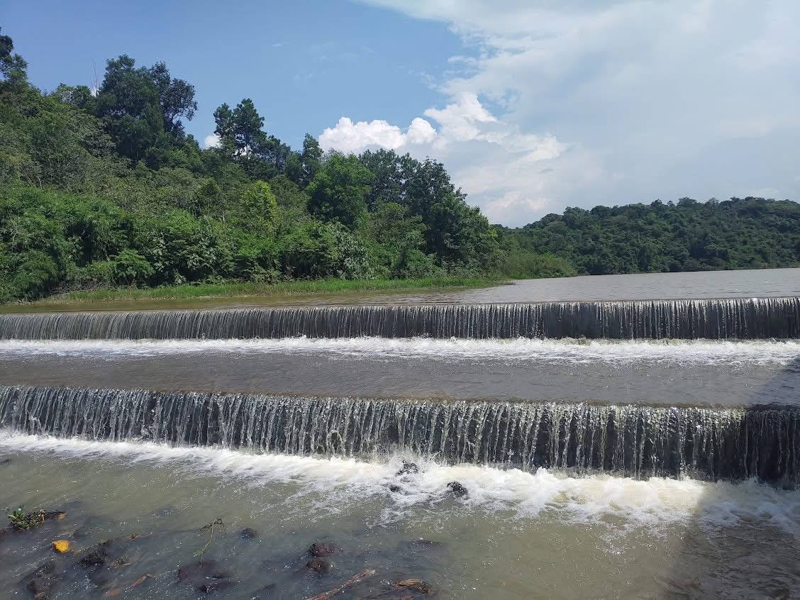 Rủ nhau về Tà Lài 