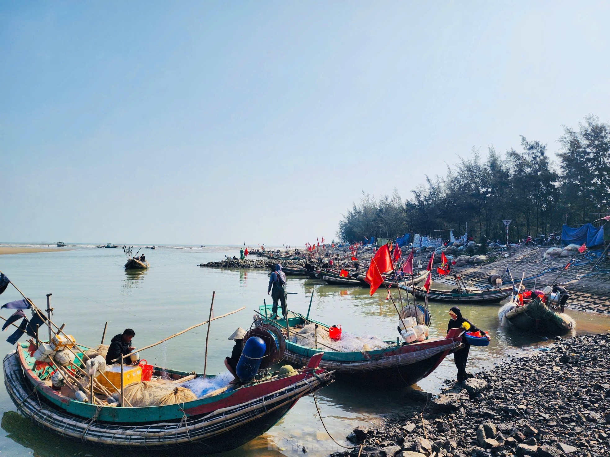 Vươn khơi đầu năm, ngư dân phấn khởi đón ‘lộc trời’ ảnh 2