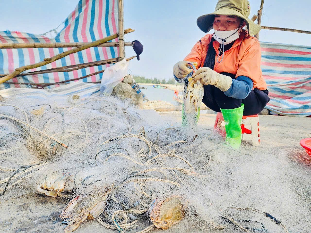 Vươn khơi đầu năm, ngư dân phấn khởi đón ‘lộc trời’ ảnh 5