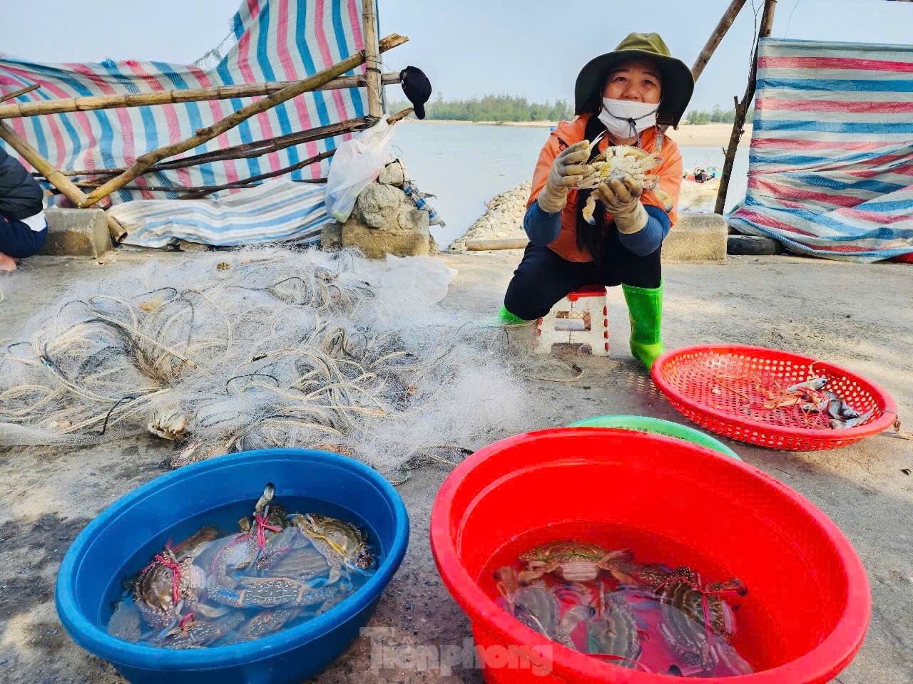 Vươn khơi đầu năm, ngư dân phấn khởi đón ‘lộc trời’ ảnh 9