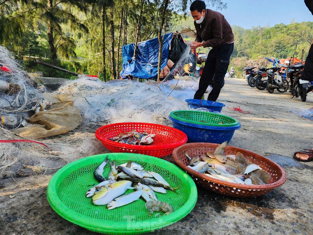 Vươn khơi đầu năm, ngư dân phấn khởi đón ‘lộc trời’ ảnh 10