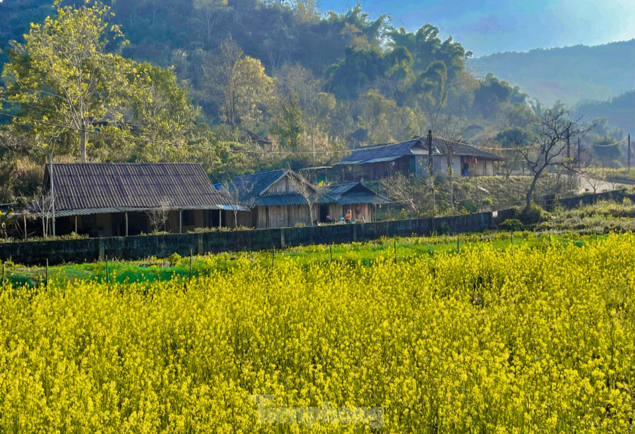 Những điểm du xuân đẹp nhất Tây Bắc ngay lúc này ảnh 27