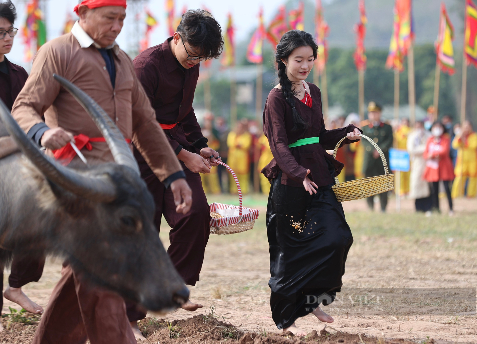 “Vua đi cày” trong lễ hội Tịch Điền đầu năm mới- Ảnh 9.