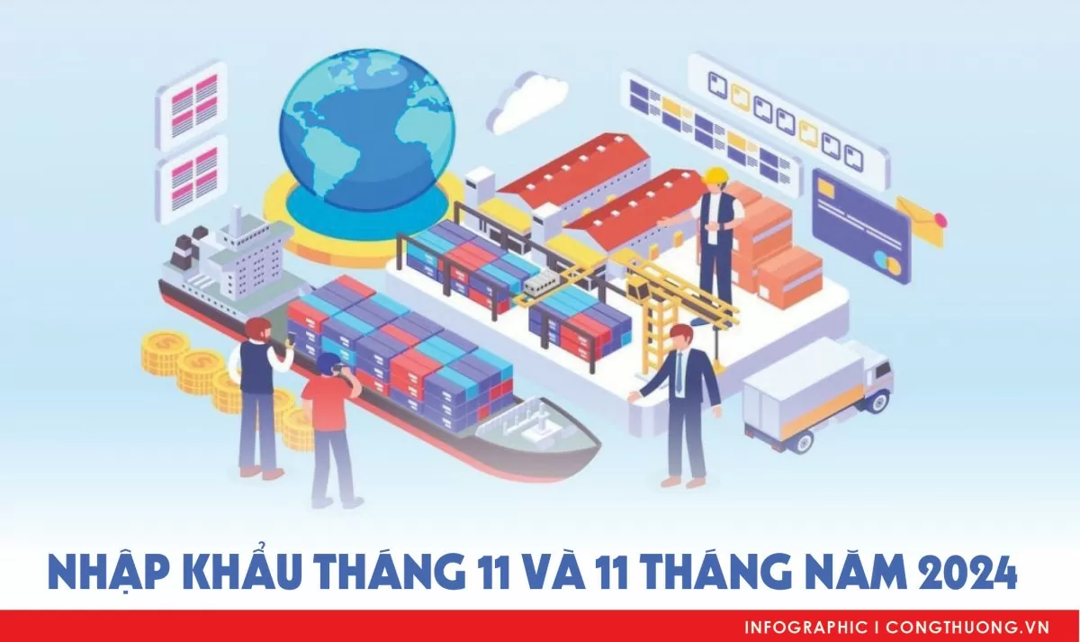 Infographic | Nhập khẩu hàng hóa tháng 11 và 11 tháng năm 2024