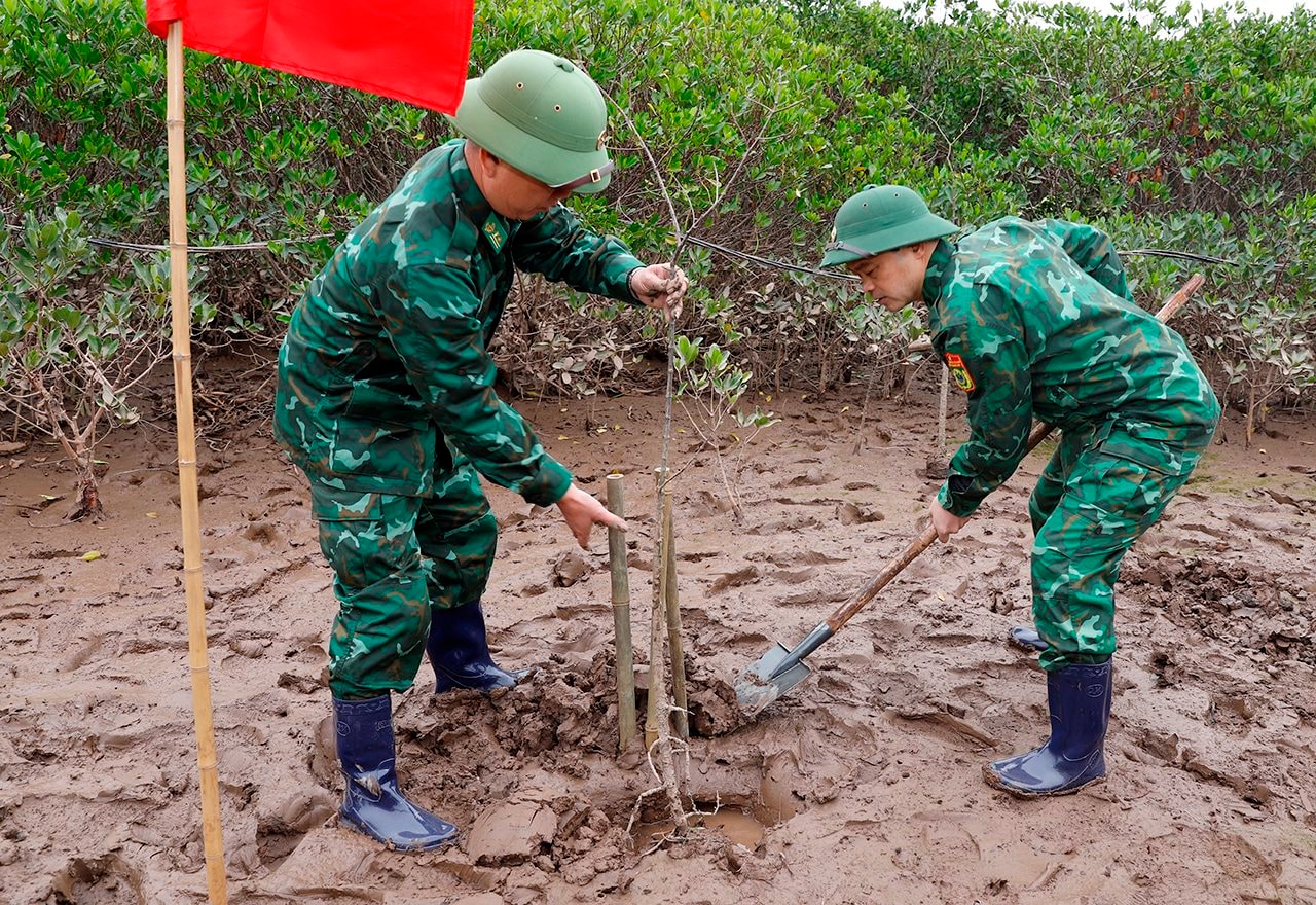 small_20250104_bt-trong-cay-thai-binh_8.jpg