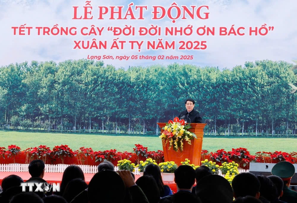 phát biểu