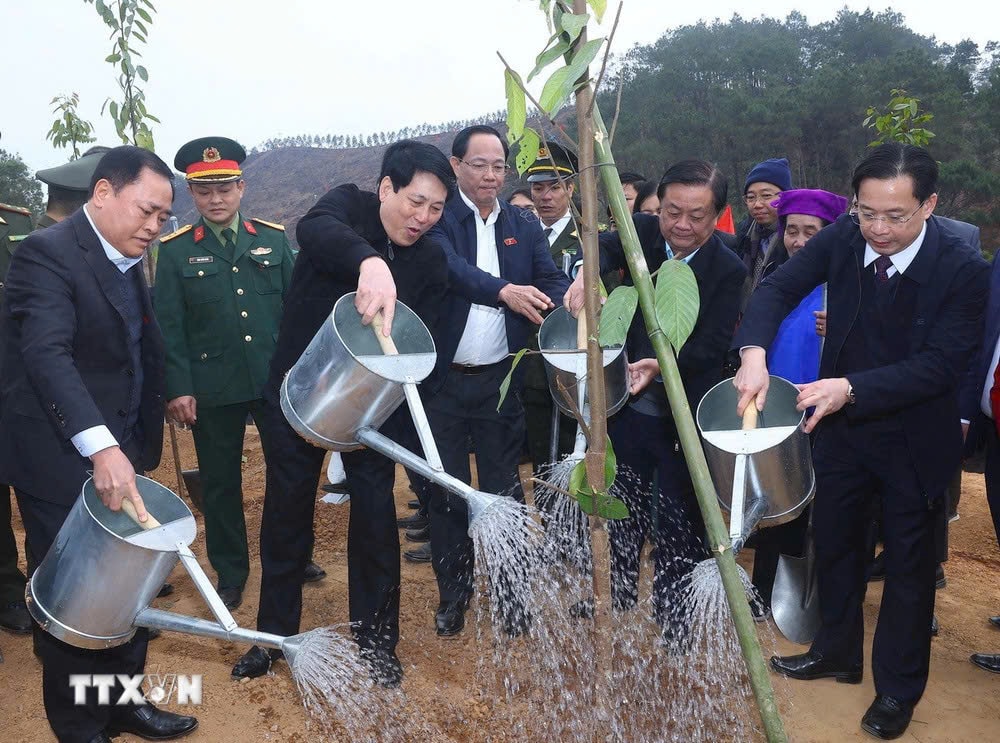 Chủ tịch nước Lương Cường và các đại biểu trồng cây tại huyện Chi Lăng, tỉnh Lạng Sơn. Ảnh: Lâm Khánh/TTXVN