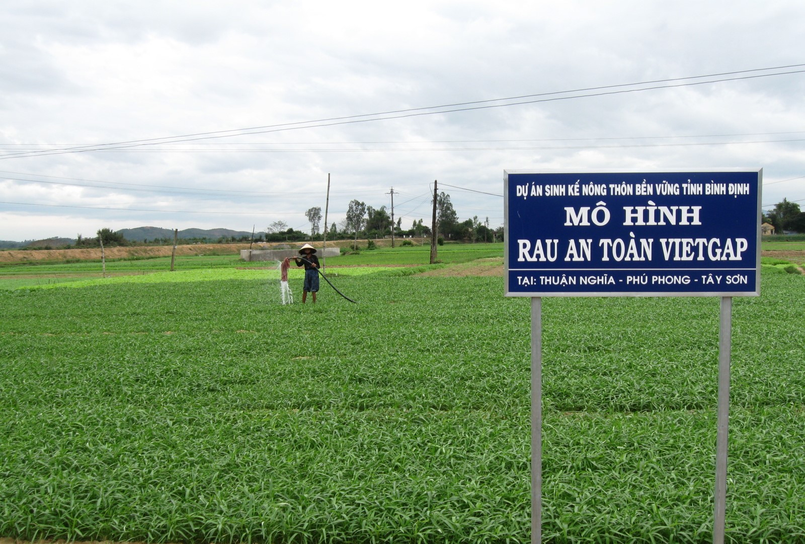 Bất ngờ ở những 