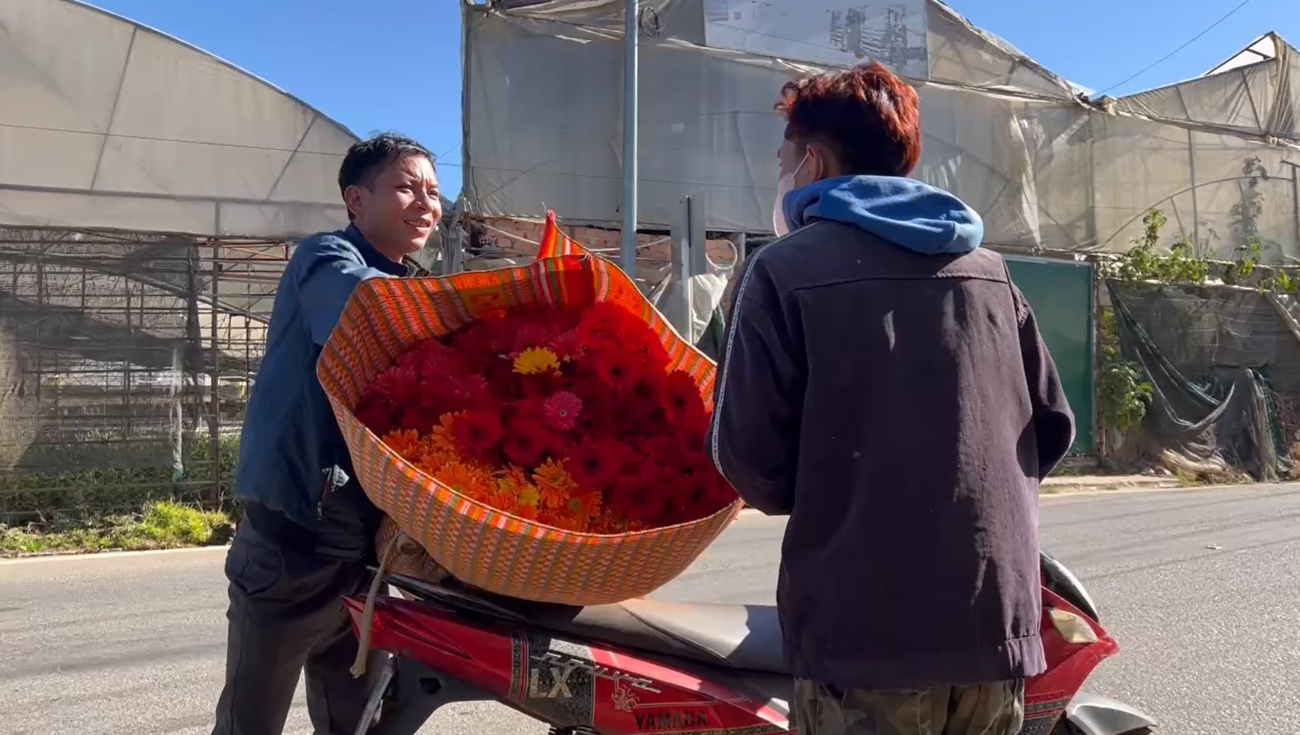 Sát ngày vía Thần Tài, giá loại hoa này tại TP. Đà Lạt tăng gấp 5-6 lần ngày thường - Ảnh 4.