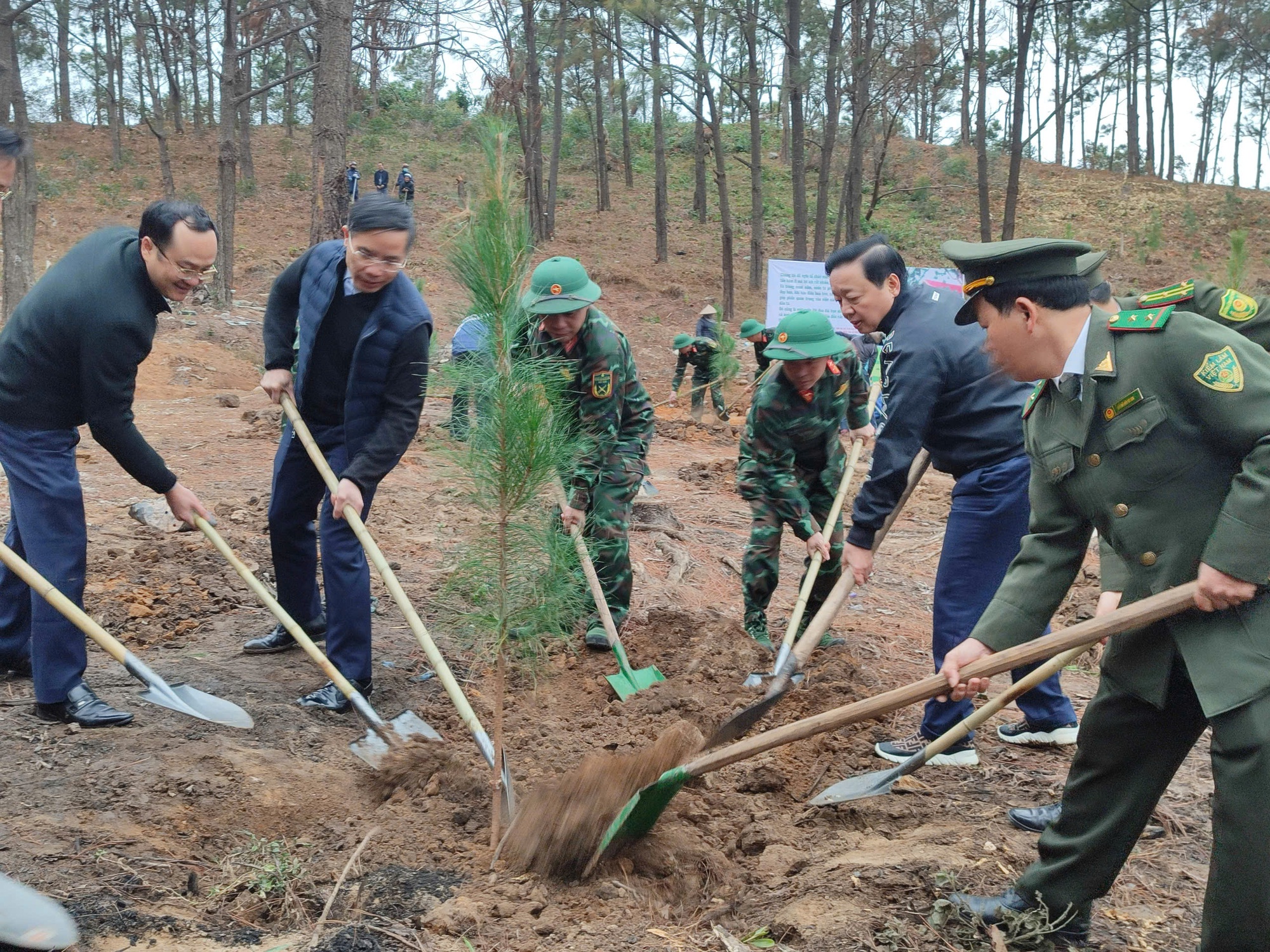 Phó Thủ tướng Trần Hồng Hà tham dự Tết trồng cây đầu xuân Ất Tỵ của tỉnh Quảng Ninh- Ảnh 2.