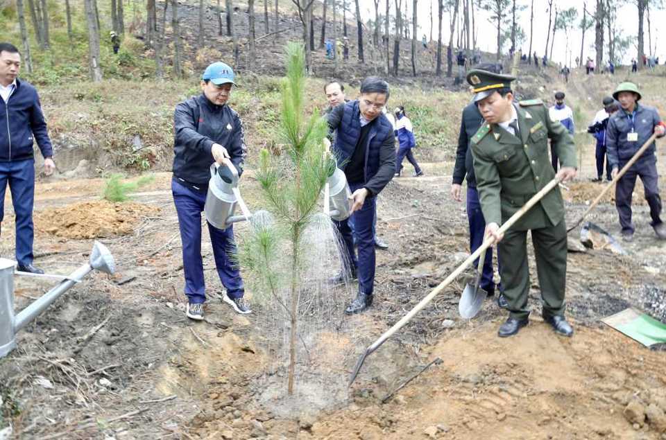 Các đại biểu tham gia Tết trồng cây. Ảnh: TTT