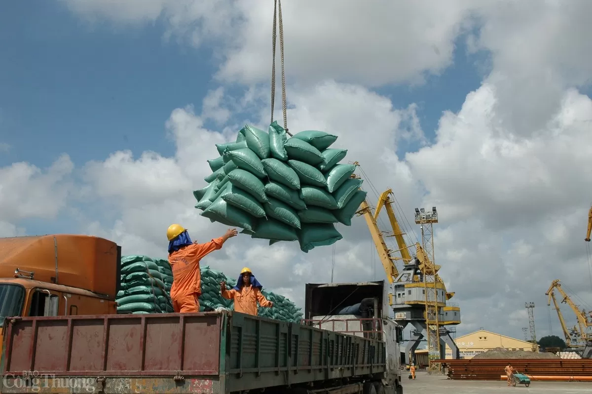 Bộ Công Thương lấy ý kiến Dự thảo Thông tư về kinh doanh xuất khẩu gạo