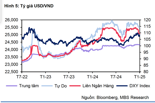 Vì sao chuyên gia dự báo giá USD có thể chạm 26.000 đồng/USD?- Ảnh 2.