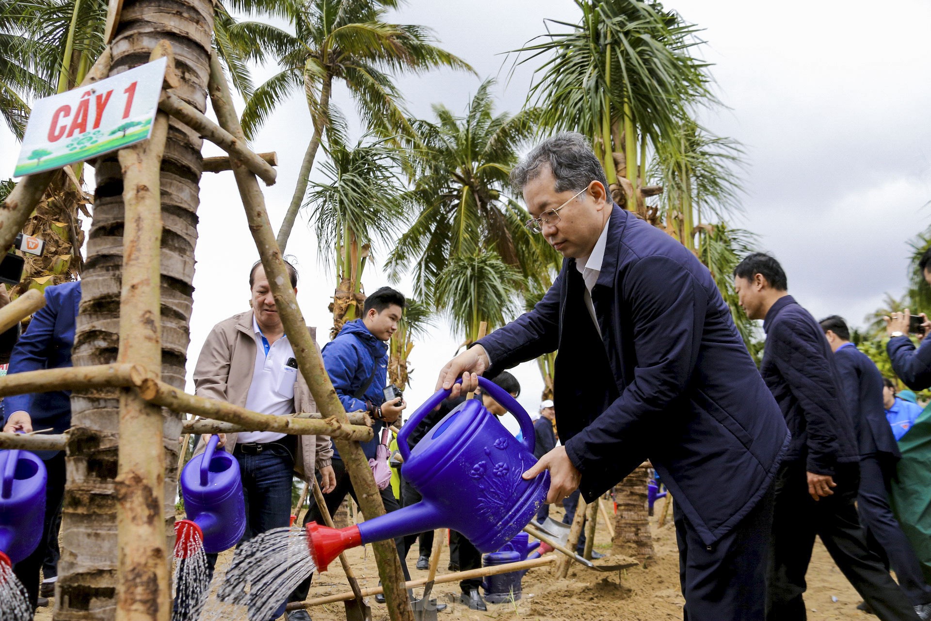 Hàng trăm người đội mưa tham gia Tết trồng cây xuân Ất Tỵ 2025 ven biển Đà Nẵng ảnh 6