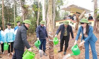 Trồng hơn 400 cây lim vàng tại điểm di tích ở Thái Nguyên