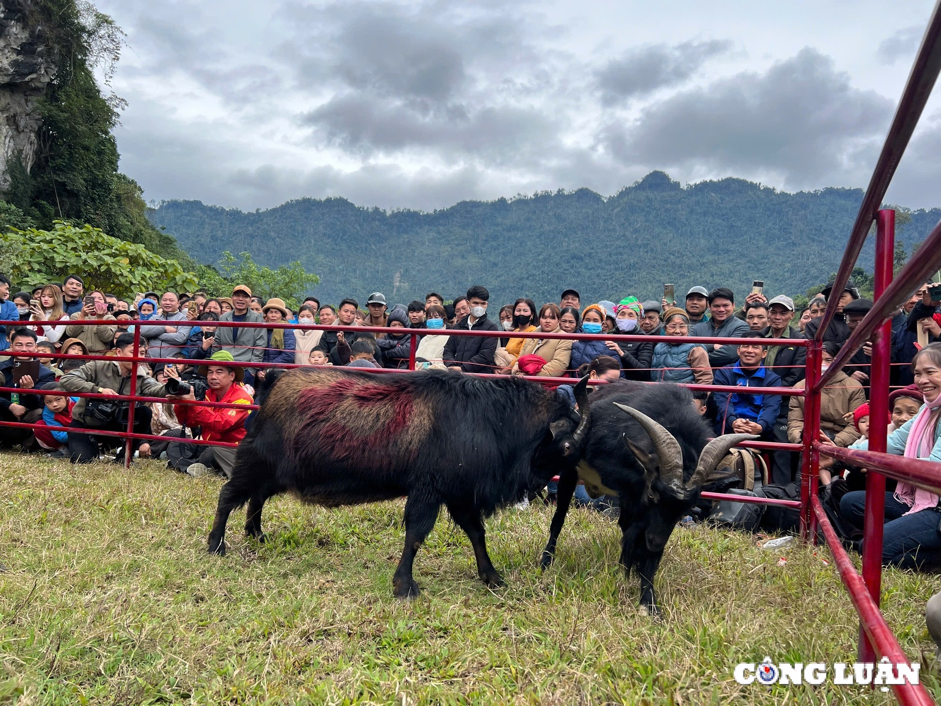 tuyen quang man nhan hoi thi choi de tai lam binh hinh 2