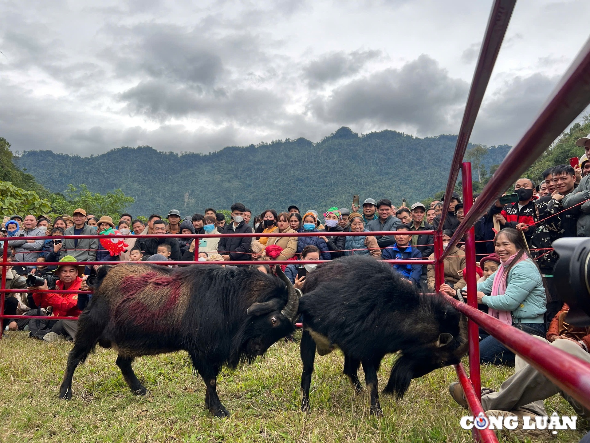 tuyen quang man nhan hoi thi choi de tai lam binh hinh 6