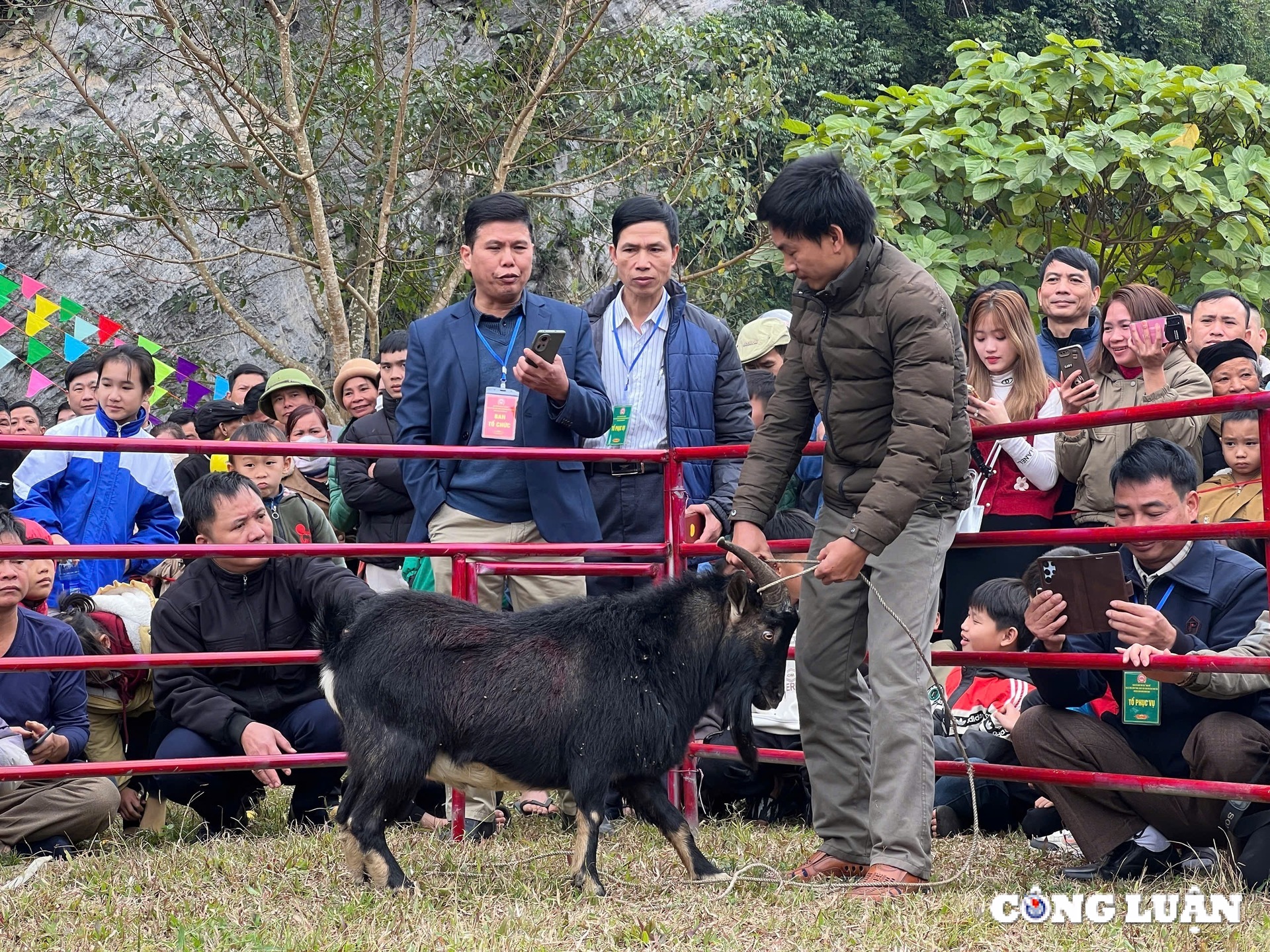 tuyen quang man nhan hoi thi choi de tai lam binh hinh 8