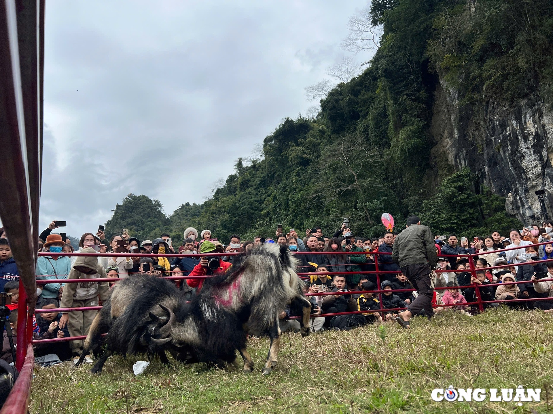 tuyen quang man nhan hoi thi choi de tai lam binh hinh 9