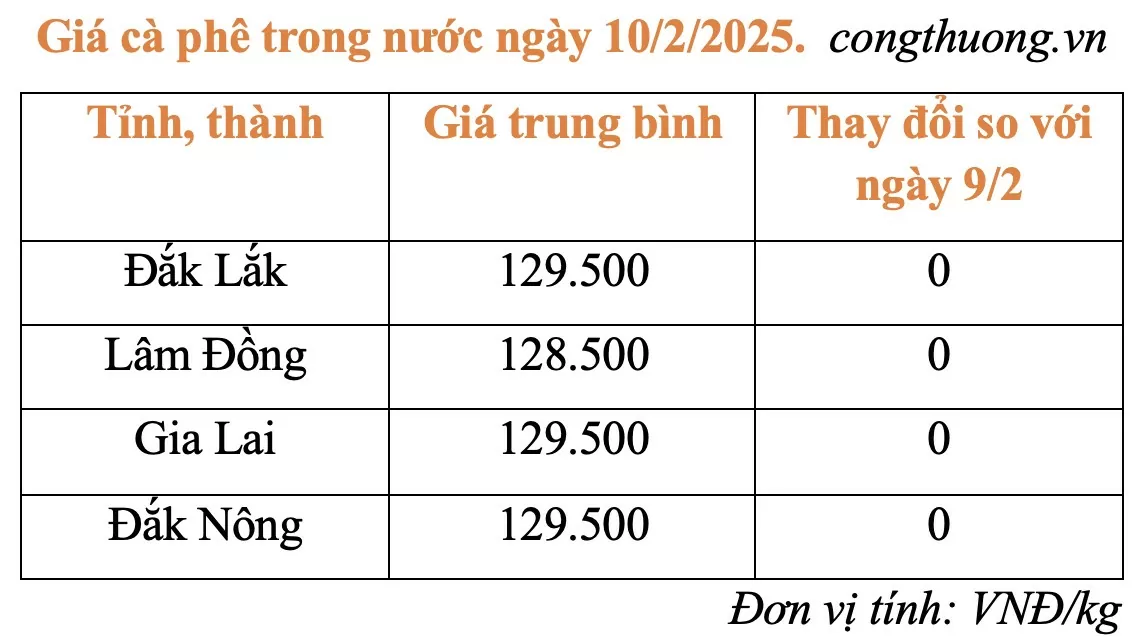 Giá cà phê trong nước hôm nay 10/2/2025 tiếp tục ổn định