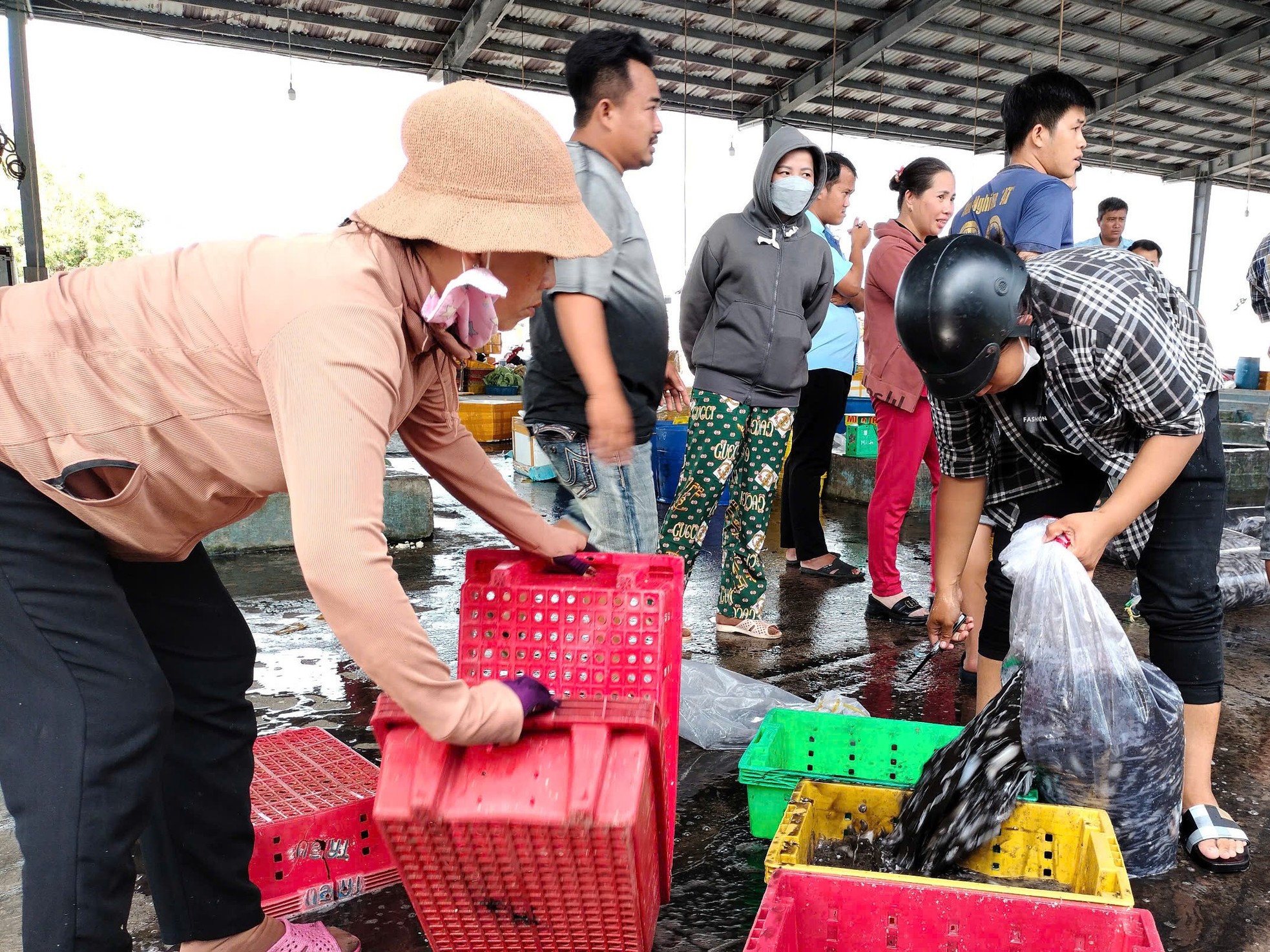 Chuyến đi xuyên Tết chở ‘lộc biển’ về bờ ảnh 3