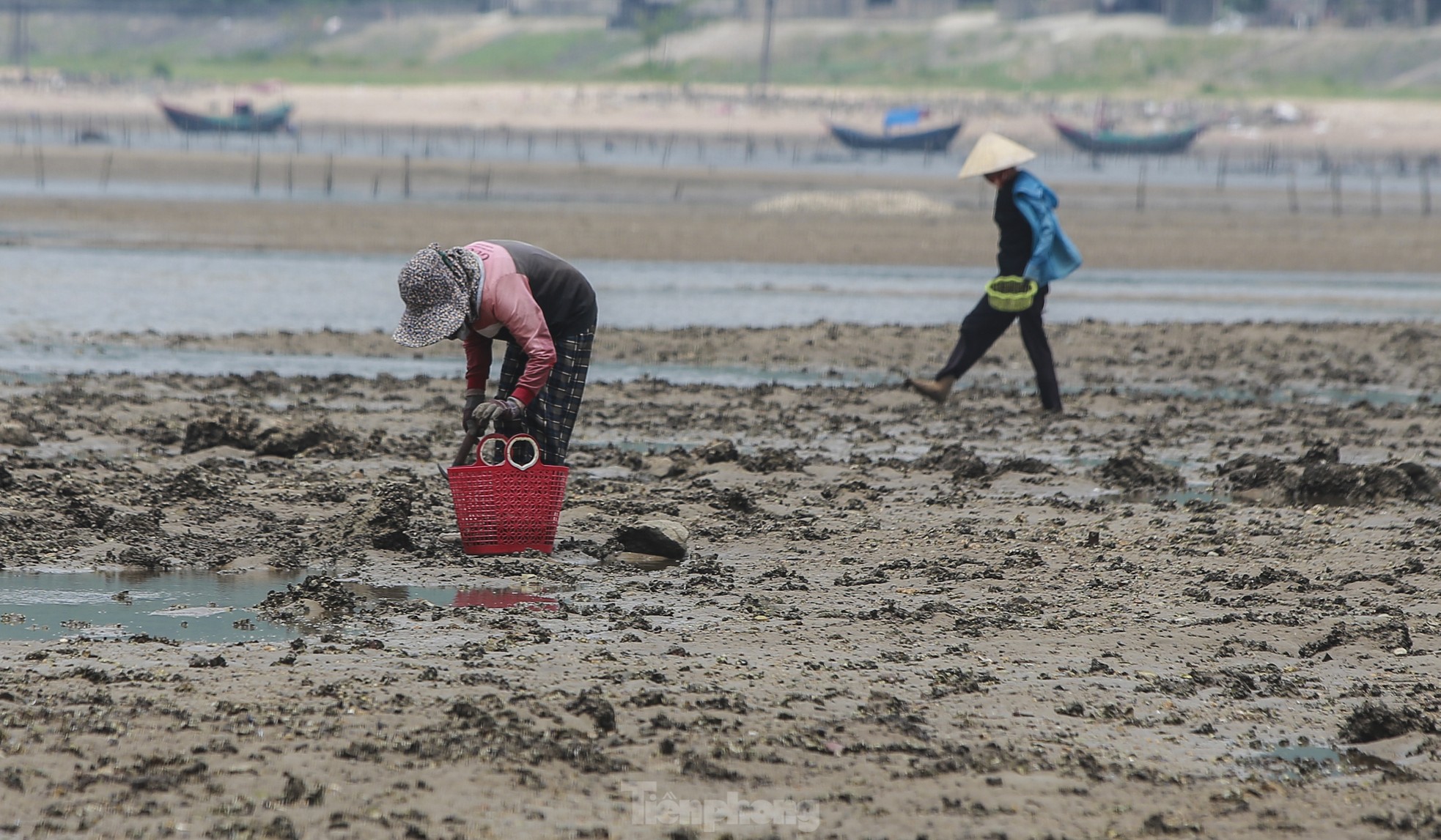 Mưu sinh nơi cửa biển giữa giá rét ngày đầu năm ảnh 4