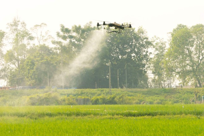 Thiết bị máy bay không người lái phun thuốc bảo vệ thực vật tại huyện Đông Anh (Hà Nội). Ảnh: Thu Phượng