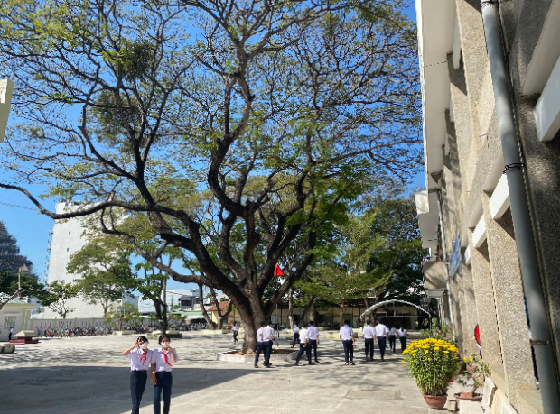 Hiệu trưởng phải quản lý chặt giáo viên của mình về dạy thêm, học thêm- Ảnh 2. Hiệu trưởng phải quản lý chặt giáo viên của mình về dạy thêm, học thêm- Ảnh 2.