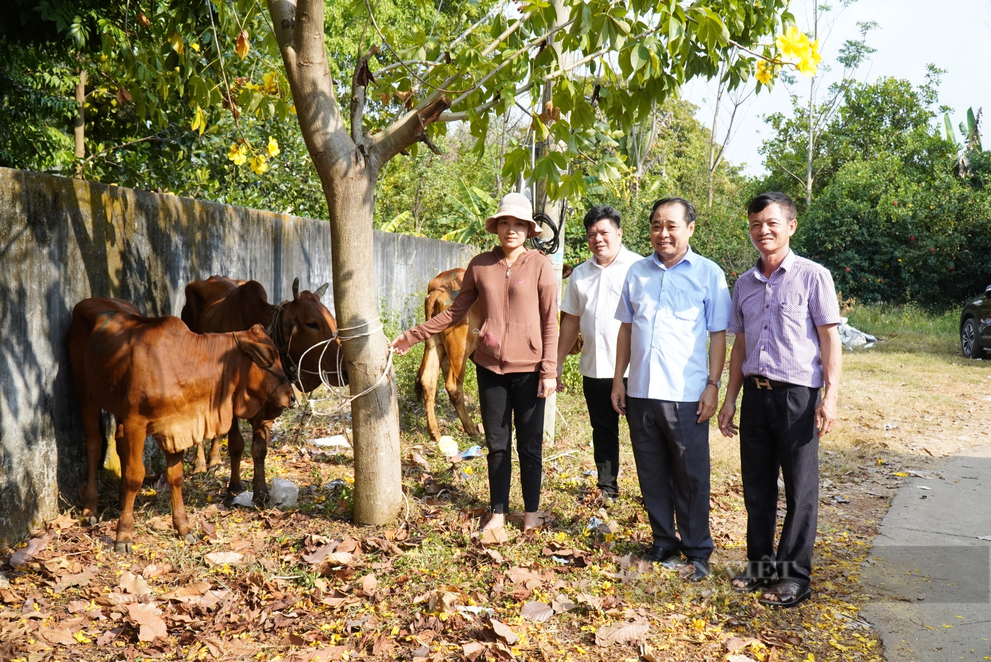 Từ con bò, cái giếng, căn nhà,…hàng ngàn hộ dân tộc thiểu số ở Bình Phước thoát nghèo - Ảnh 5.