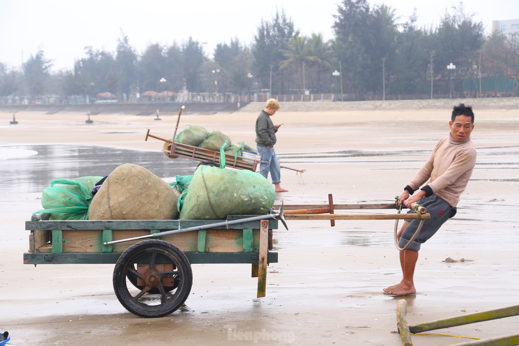 Nhộn nhịp cảnh mua bán hải sản ở bãi biển lúc rạng đông ảnh 4