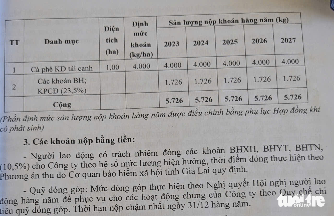 Vụ đóng bảo hiểm xã hội bằng cà phê: Họp lấy ý kiến người lao động - Ảnh 4.