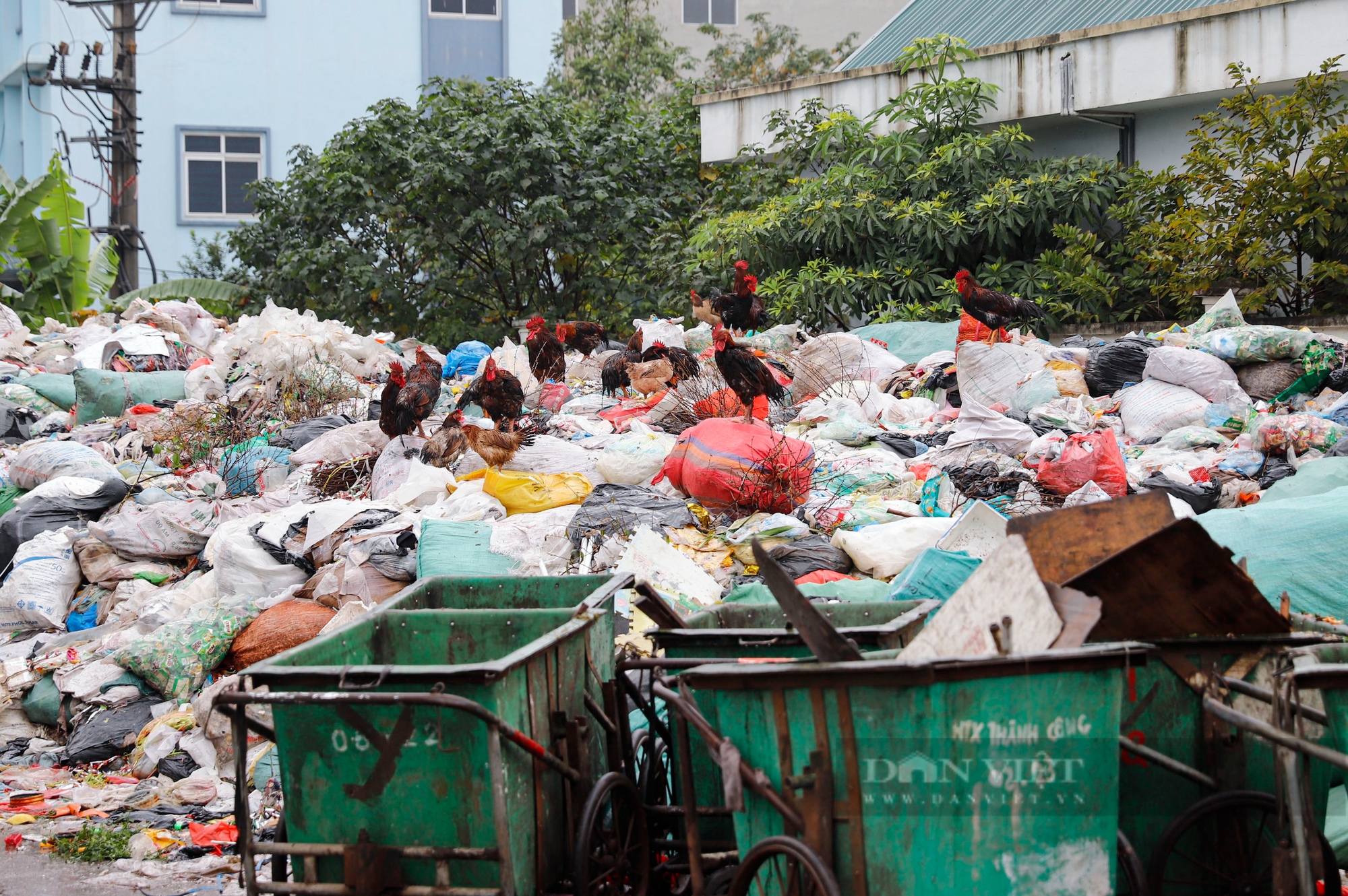 Khoảng 40 tấn rác bánh kẹo vẫn chất cao như núi tại La Phù, lan cả sang hành lang an toàn đường sắt- Ảnh 7.