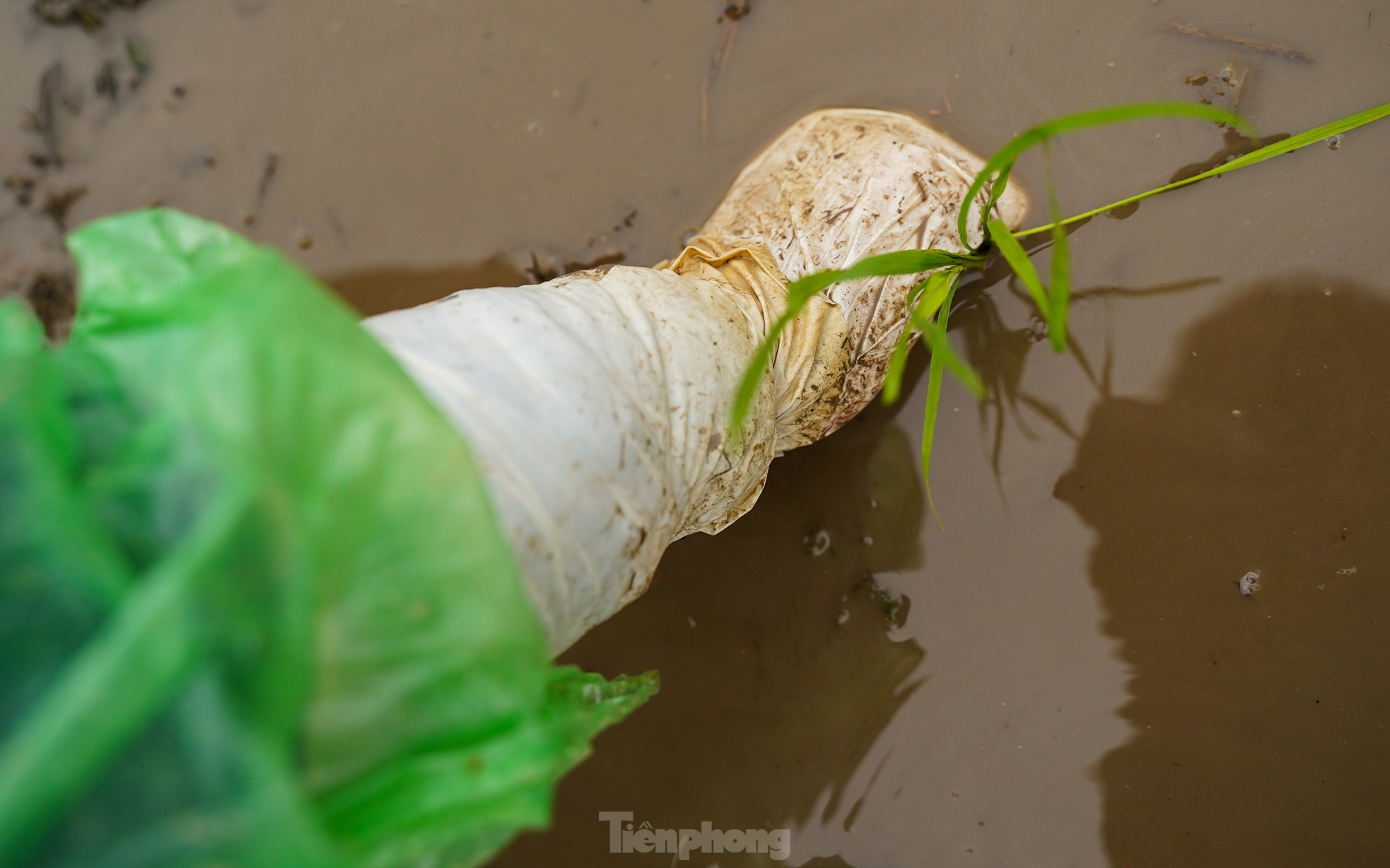 Nông dân Hà Nội lội ruộng cấy lúa dưới mưa phùn, gió lạnh ảnh 4