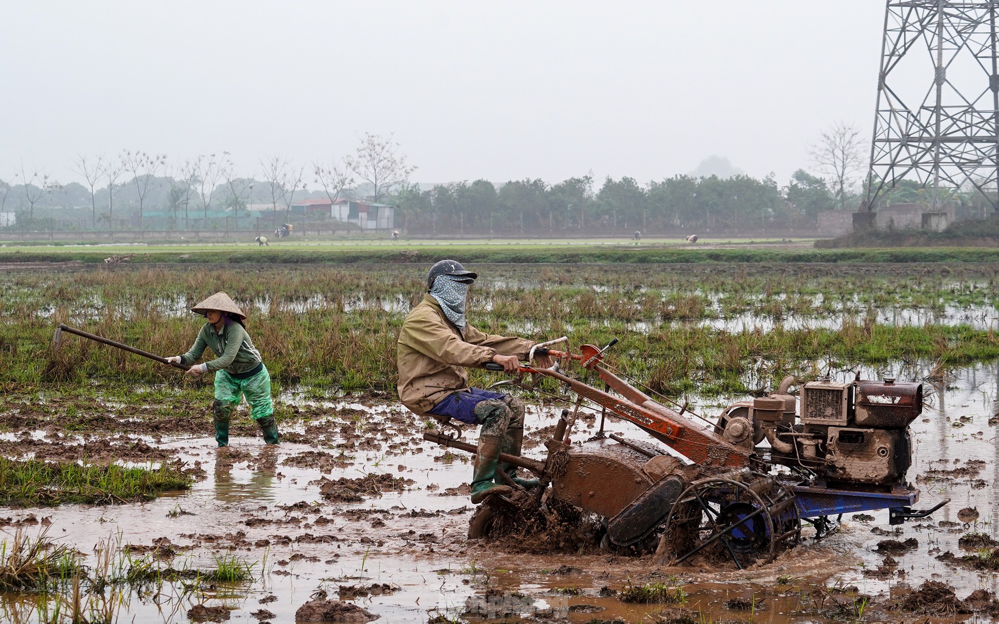 Nông dân Hà Nội lội ruộng cấy lúa dưới mưa phùn, gió lạnh ảnh 6