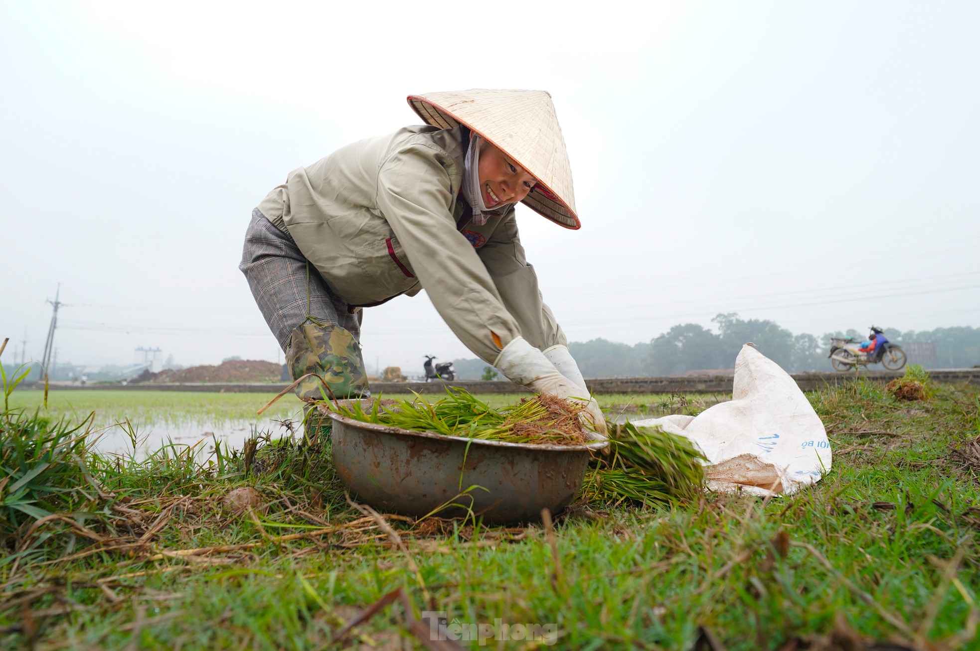 Nông dân Hà Nội lội ruộng cấy lúa dưới mưa phùn, gió lạnh ảnh 8