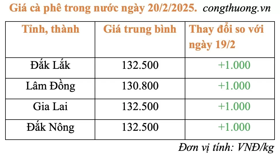 Giá cà phê hôm nay 20/2/2025: