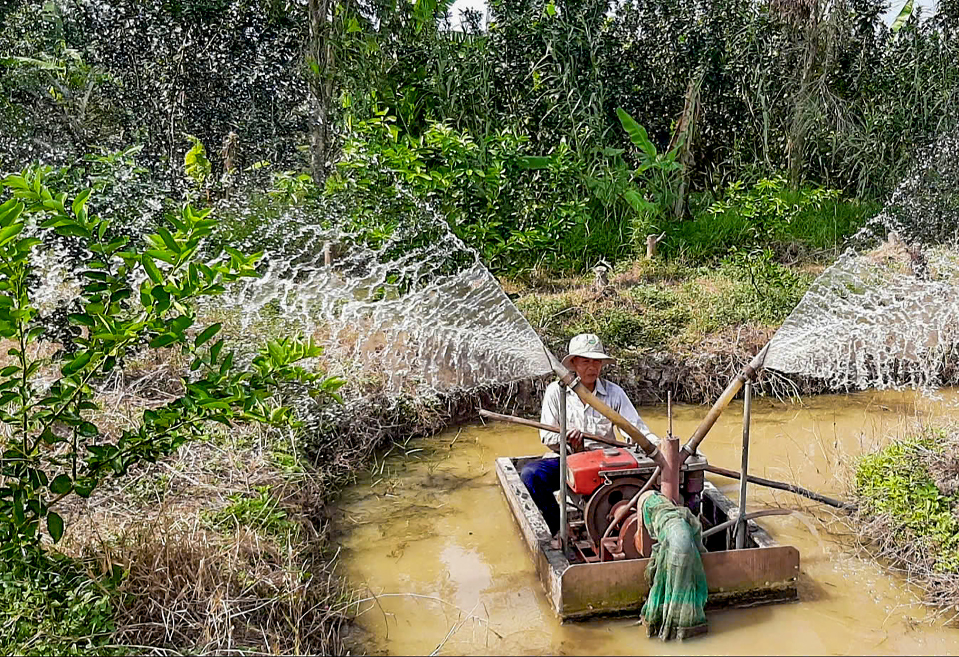 Tin tức sáng 21-2: Xâm nhập mặn xu hướng tăng, mùa khô 2024-2025 cao hơn trung bình nhiều năm - Ảnh 2.