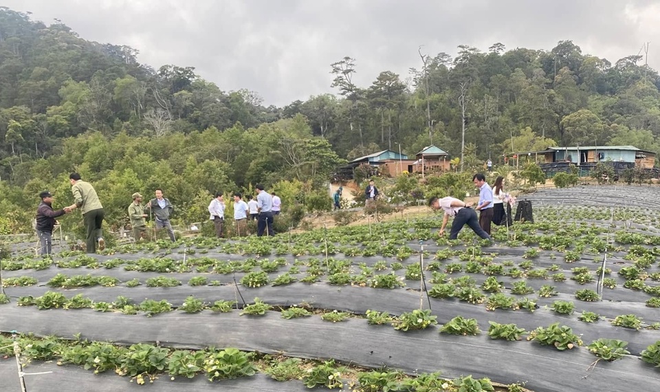 Du khách khám phá mô hình nông nghiệp ở Kon Tum.