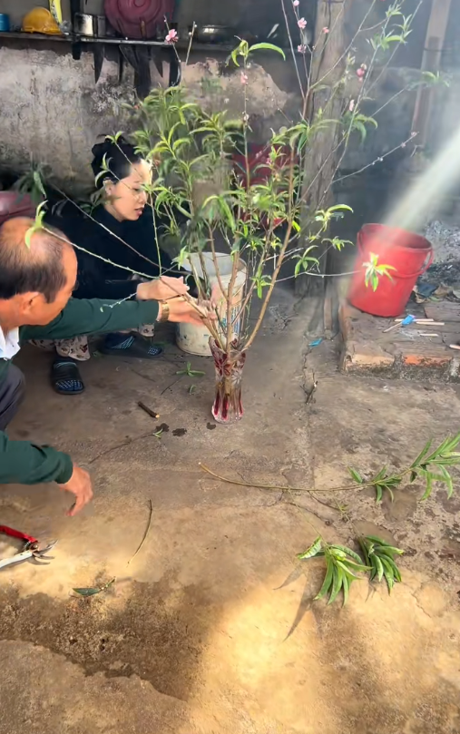 Chuyện con dâu 9X và bố chồng U70 ở Gia Lai gây sốt mạng- Ảnh 6. Chuyện con dâu 9X và bố chồng U70 ở Gia Lai gây sốt mạng- Ảnh 6.