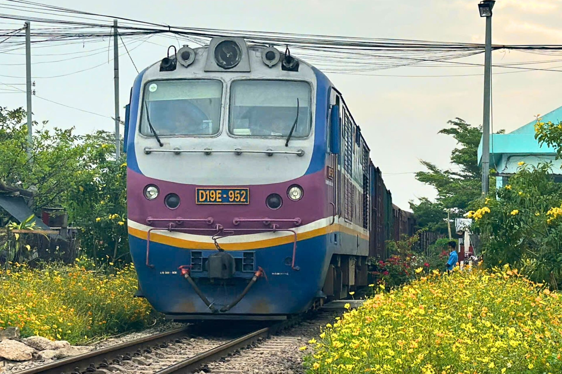 Hành lang đường sắt Đồng Nai 'thay áo', thành đường hoa rực rỡ