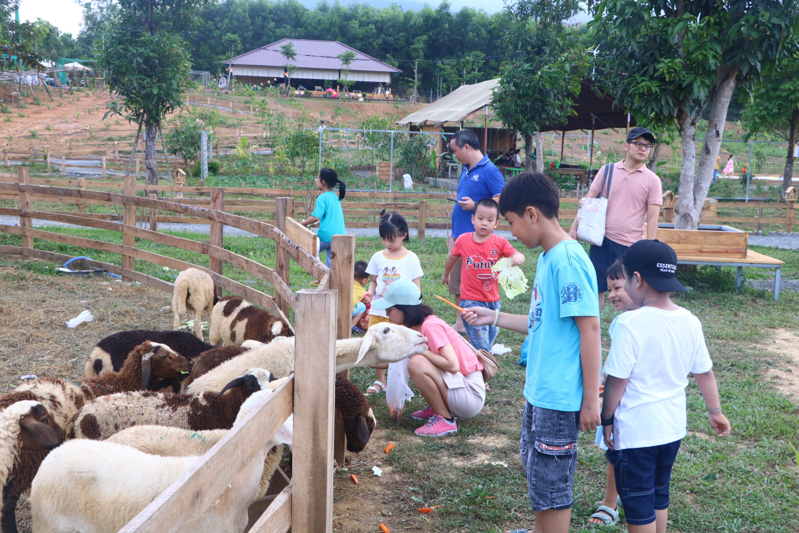 Nông thôn mới: Động lực để huyện Hòa Vang - TP Đà Nẵng thực hiện khát vọng vươn tầm lên đô thị  - Ảnh 9.