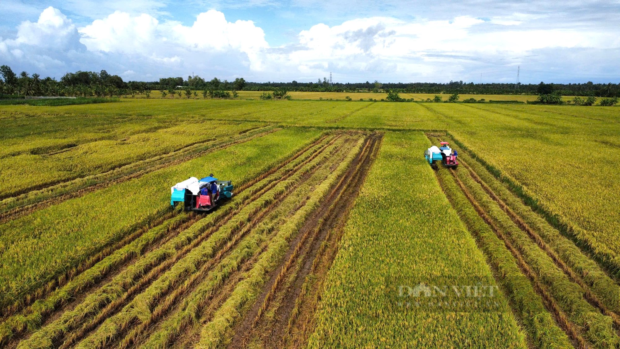 Thủ tướng yêu cầu Bộ NNPTNT tổng kết, đánh giá đề án thí điểm 5 vùng nguyên liệu nông sản hàng hoá - Ảnh 4.