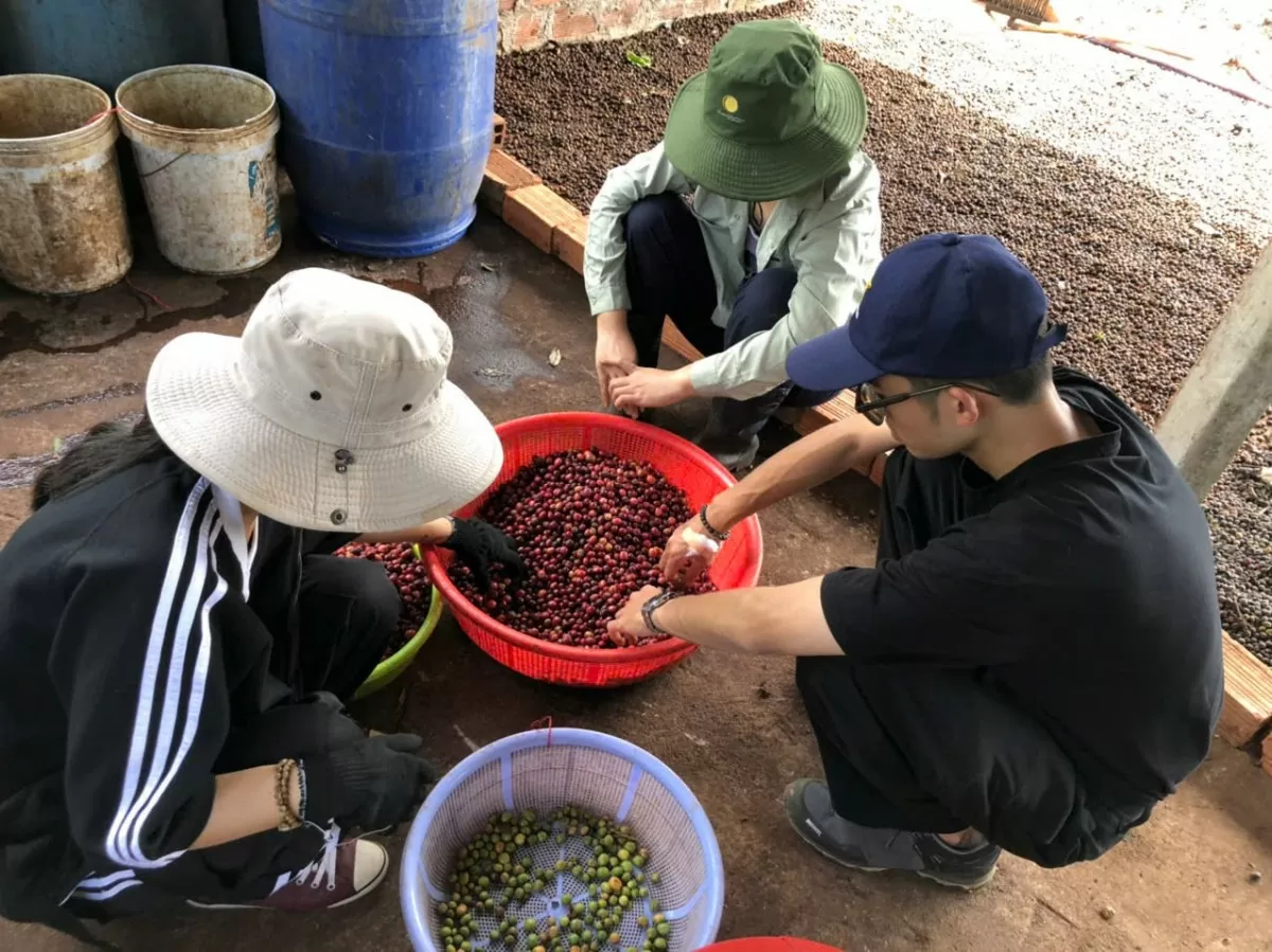 Dự báo giá cà phê ngày mai 24/2/2025: