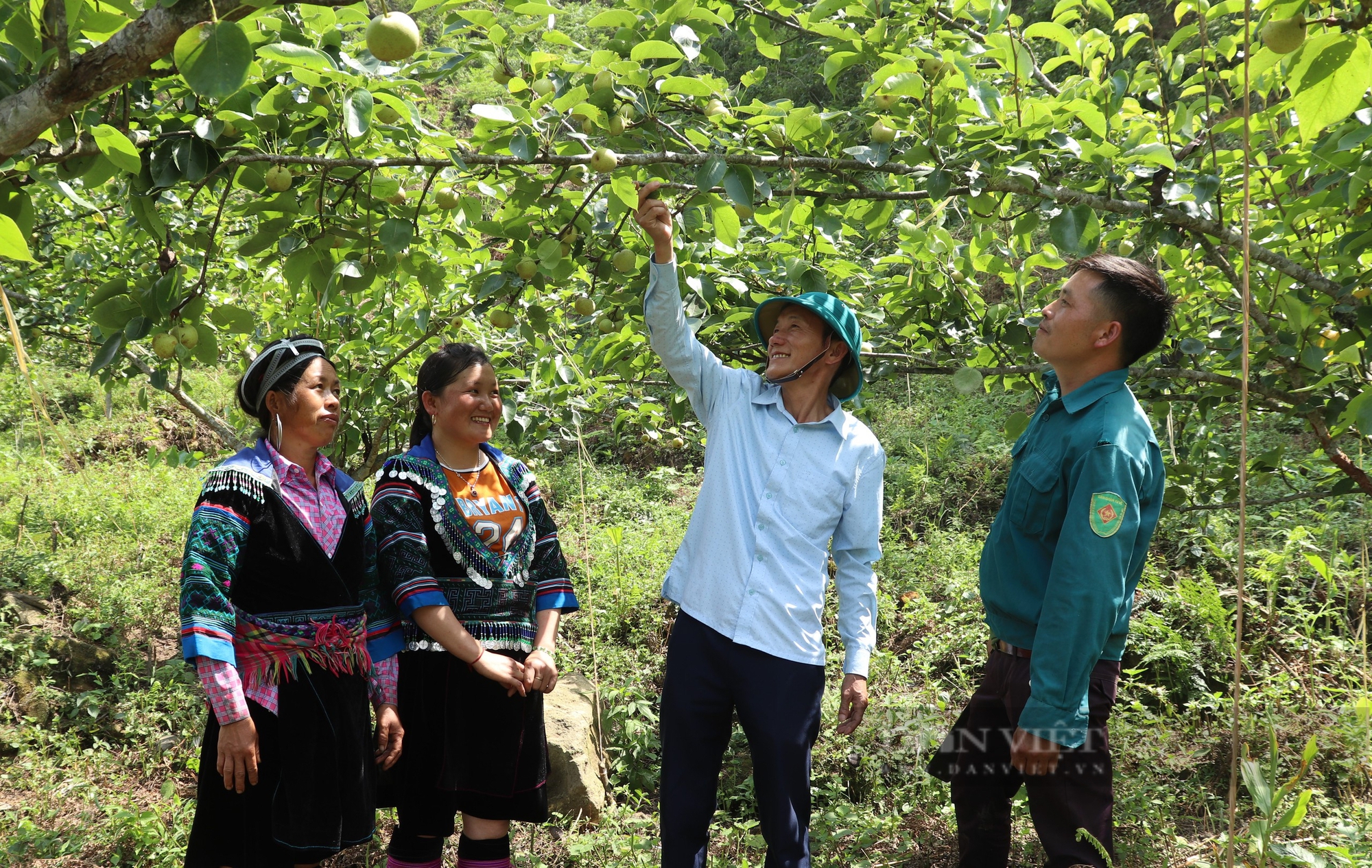 Đổi thay ở thôn vùng cao Bản Giàng, nơi từng một thời là vựa hoa anh túc ở Lào Cai- Ảnh 6.