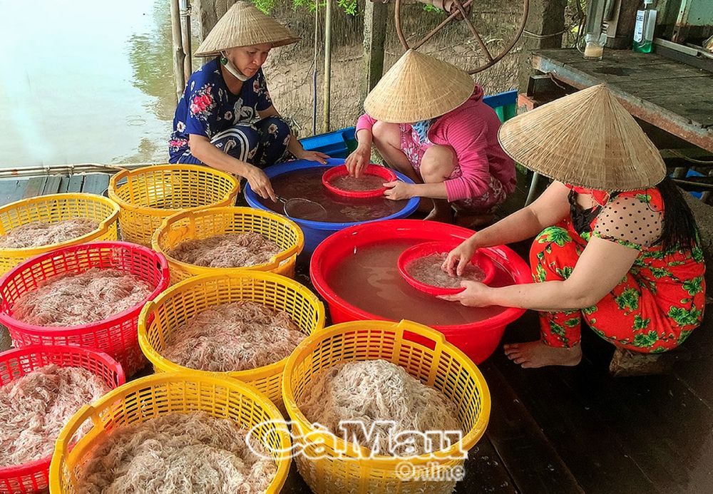 Đặc sản Cà Mau, 2 con vật bình dân này làm kiểu gì mà ăn ngon miệng lại còn giàu dinh dưỡng?- Ảnh 2.