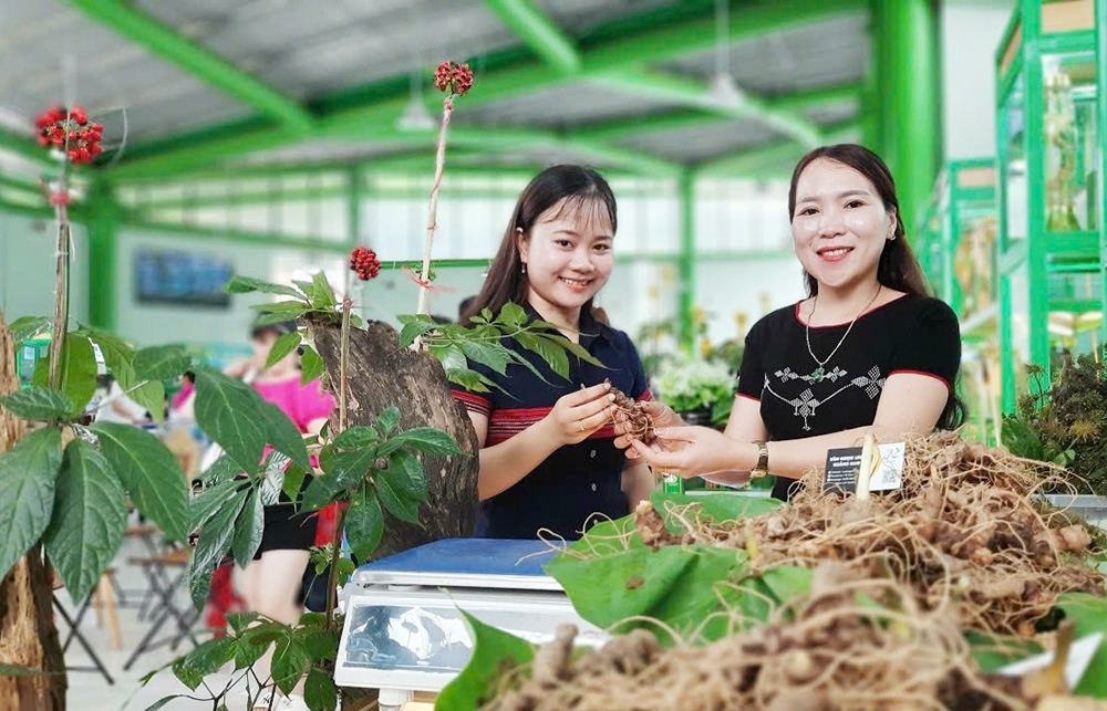 Phiên chợ Sâm Ngọc Linh diễn ra hàng tháng tại thủ phủ Sâm Ngọc Linh Nam Trà My mở ra thị trường mới cho nhiều người dân ở huyện miền núi Nam Trà My.