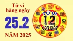 Tử vi hôm nay, xem tử vi 12 con giáp hôm nay ngày 25/2/2025: Tuổi Hợi cải thiện thu nhập